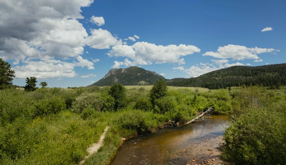 How to Sell Land Without Clear Title in Colorado land guide