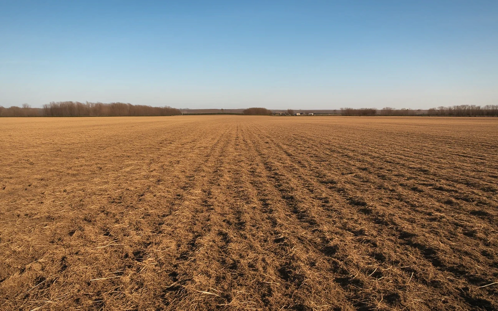 Rural acreage in Durango