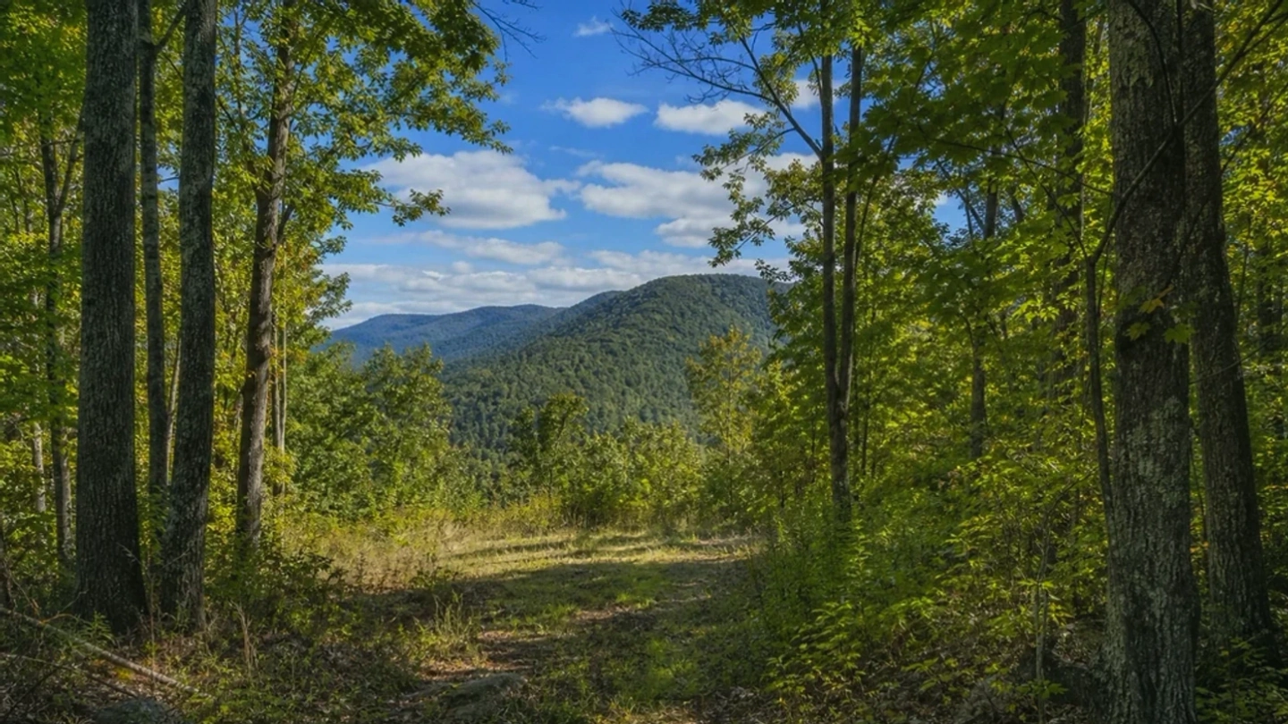 Jefferson County vacant land, wooded acreage, and rural parcels in Colorado