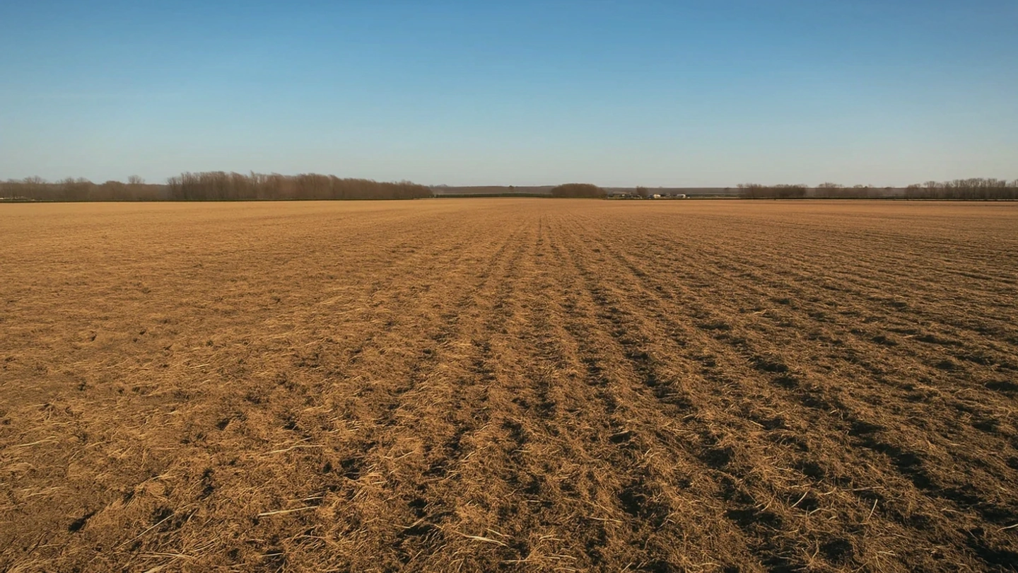 Weld County vacant land, wooded acreage, and rural parcels in Colorado